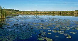 Barva-Lappen sett från östra sidan.