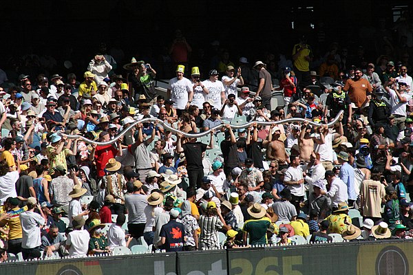 Beer cup snake during the 2021 Boxing Day Test