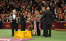 A group of people stand in front of a crowd where a Golden liver colored dog stands ready to be awarded a prize