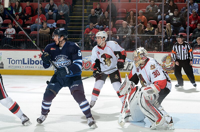 File:Binghamton Senators Hockey (50510264258).jpg