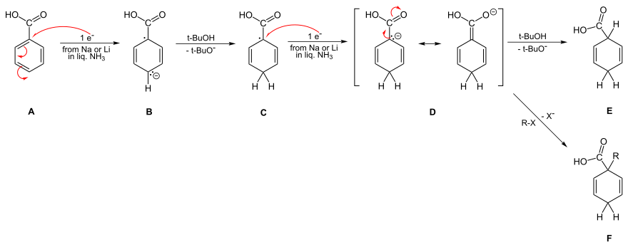 Benzoic acid reduction, including possible alkylation Birch-Benzoic Mech.svg