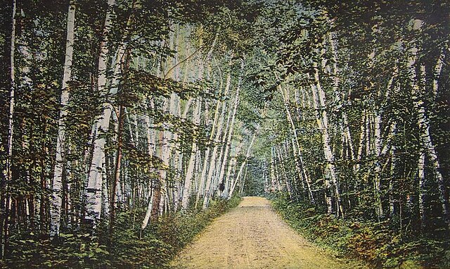 "Birch Avenue" in 1907