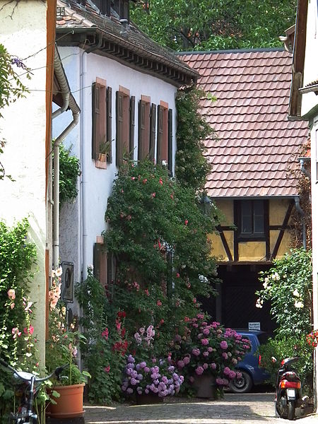 File:Blühende Gasse in Ladenburg.JPG