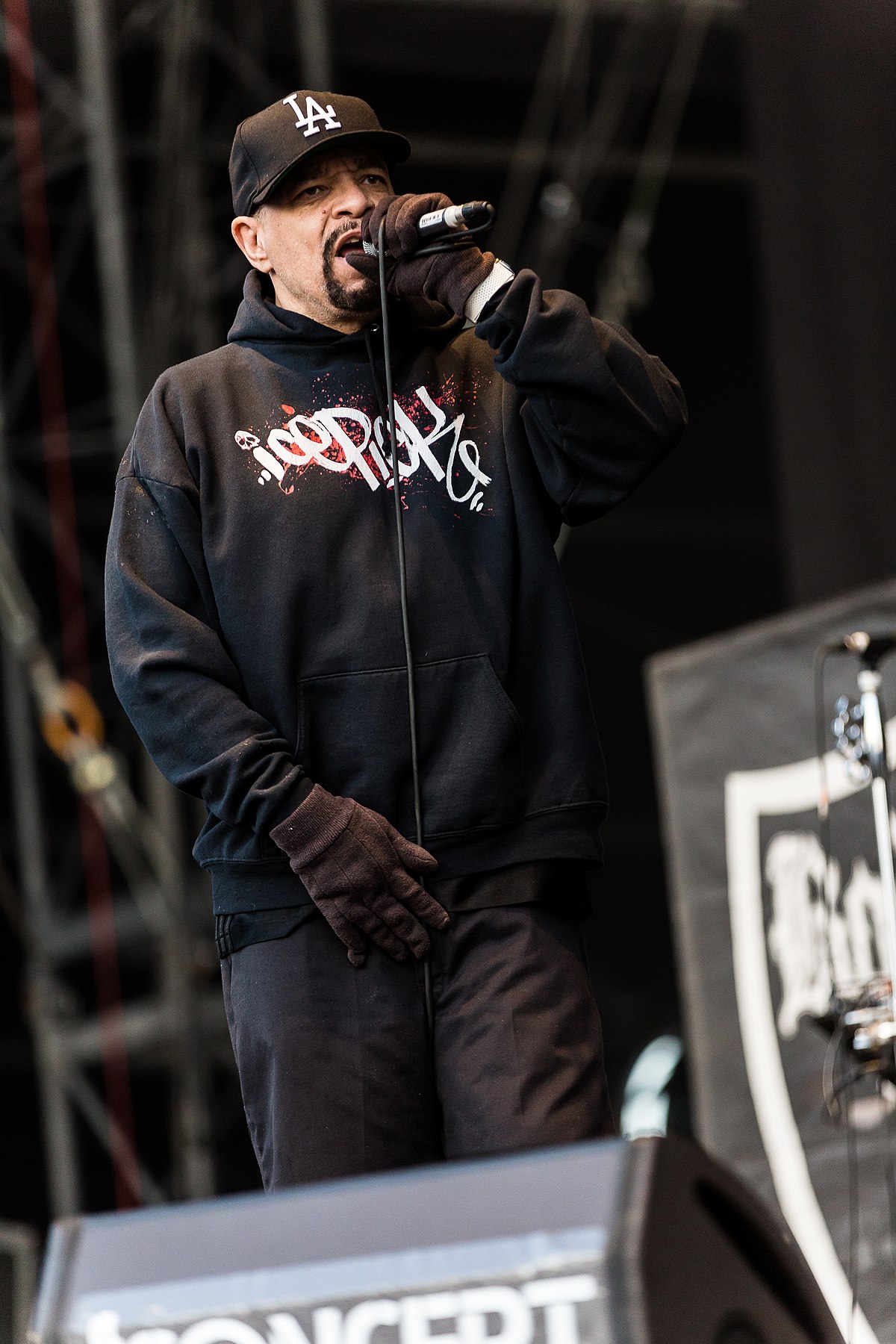 Ice-T - Wikipedia