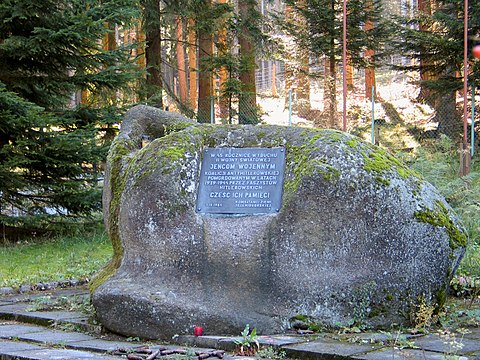 Pomnik na cmentarzu jeńców wojennych w Borowicach