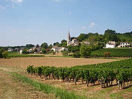 Gezicht op Saint-Michel-de-Fronsac