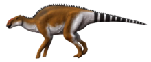 Brachylophosaurus Brachylophosaurus NT.png