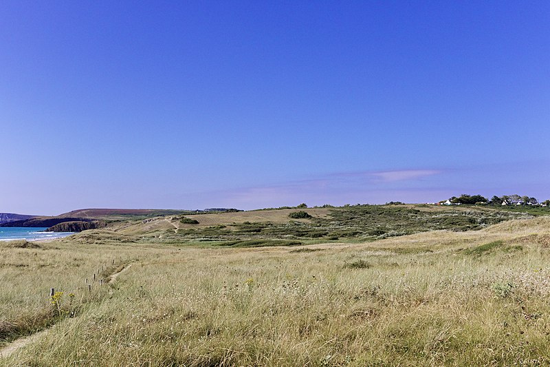 File:Bretagne - Finistère - cap de la chèvre - 20180726 - 050.jpg