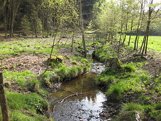 Steinbecke before it flows into the Möhne