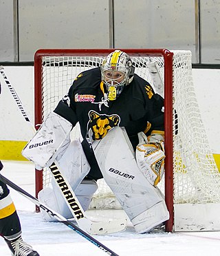 <span class="mw-page-title-main">Brittany Ott</span> American womens ice hockey player