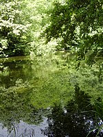 Brockhill Country Park