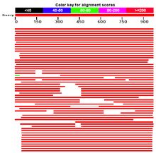 Beskrivelse af CCDC132 Blast Results.png-billede.