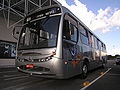 쿠리치바의 버스.
