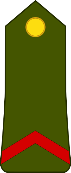 File:Cameroon-Army-OR-2.svg