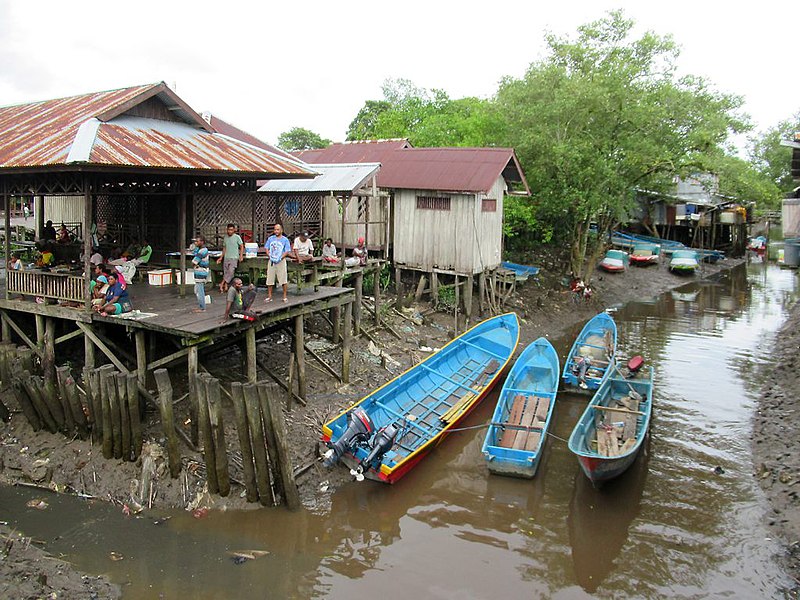 File:Canoes at Agats (48319987547).jpg