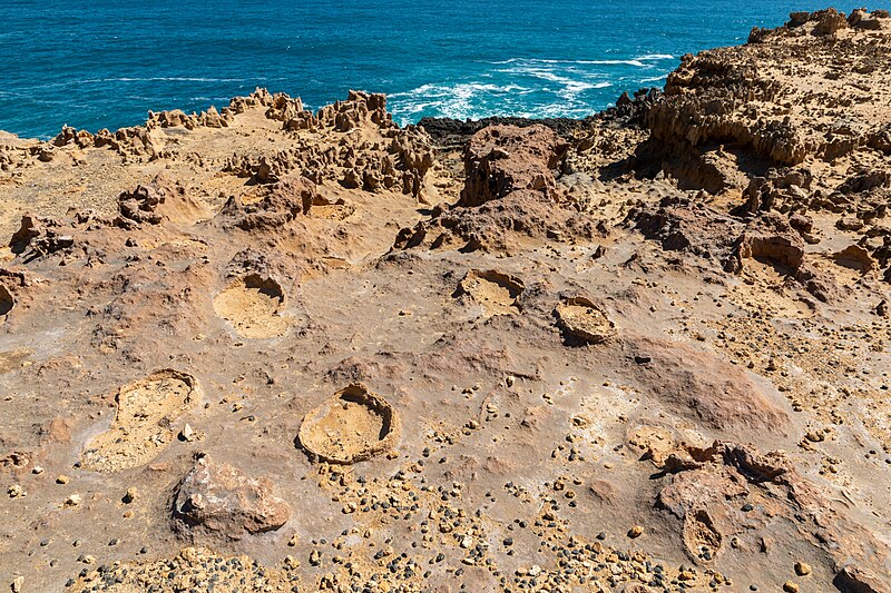 File:Cape Bridgewater (AU), Petrified Forest -- 2019 -- 0757.jpg