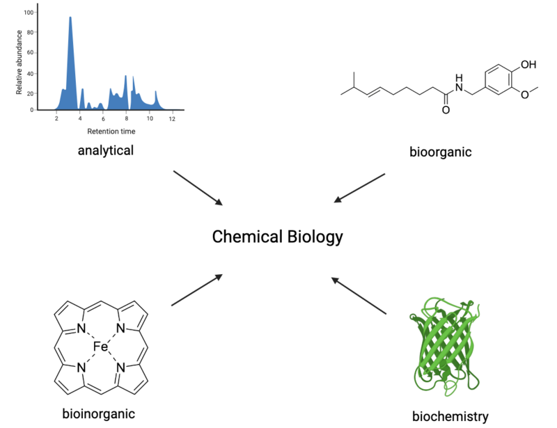 Domain (biology) - Wikipedia