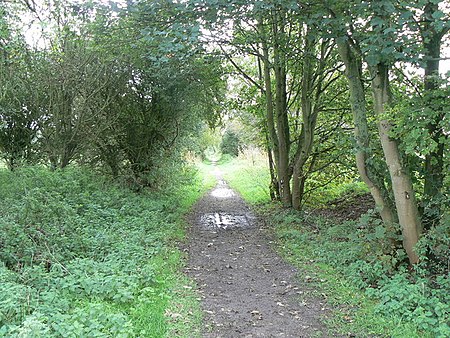 Chiseldon Camp halt by Brian Robert Marshall