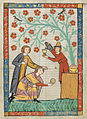 Codex Manesse 339r Der Junge Meißner.jpg