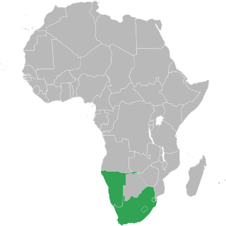 Common Monetary Area Monetary union. The Rand Monetary Area, established in 1974, was transformed into the Common Monetary Area in 1986. Members are Lesotho, Namibia, South Africa and Swaziland.