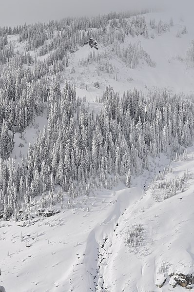 File:Creek on lateral moraine. (7d530cb4465c490dadb4a82375564787).jpg