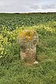 Cross on footpath between St Levan and Portcurno - geograph.org.uk - 1530889.jpg