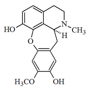 Culacorine.png