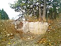Remains of the w:Dammasch State Hospital in w:Wilsonville, Oregon, USA, in Fall 2009.