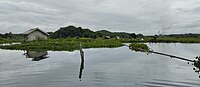 Bahasa Indonesia: Pemandangan di Danau Tamiyang, Kabupaten Banjar, Kalimantan Selatan. English: View of Tamiyang Lake, Banjar Regency, South Kalimantan. Banjar: Pamandangan di Danau Tamiyang, Kabupatin Banjar, Kalimantan Salatan.