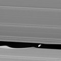 Daphnis raw 2010 cropped.jpg