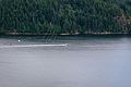 * Nomination Speed Boat at Deep Cove, British Columbia, Canada --Xicotencatl 21:31, 10 October 2016 (UTC) * Decline IMO not sharp enough for a QI, sorry. Focus seems to be on the wires on the front instead of the boat. --Basotxerri 14:23, 12 October 2016 (UTC)