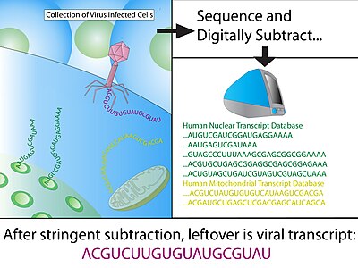 Fig 1. Digital Transcriptome Subtraction Digital Transcriptome Sequencing.jpg