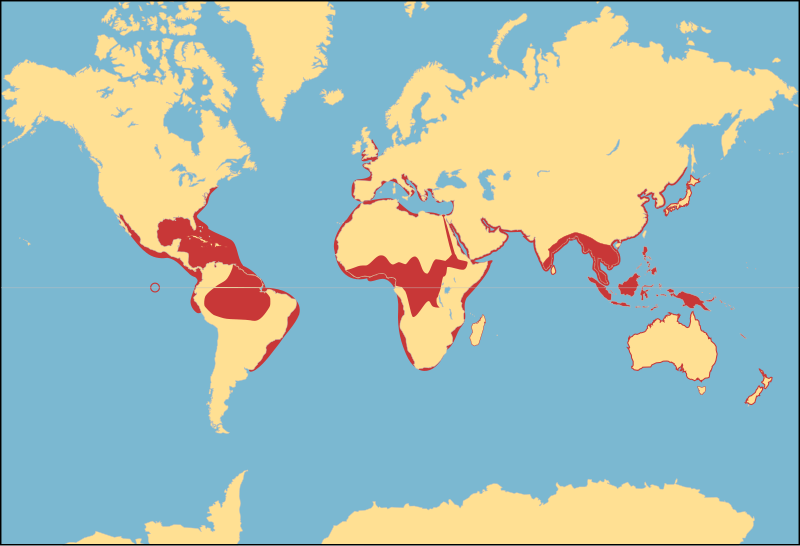 File:Distribution map of Tetraodontidae.svg