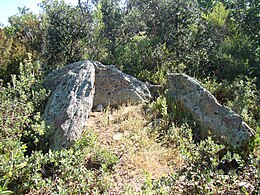 Dolmen de Valltorta - 1.jpg