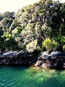 Shore of one of the islands