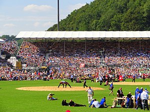 Eidgenössisches Schwing- Und Älplerfest