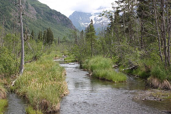 Eagle River in central Alaska, home to various indigenous freshwater species.