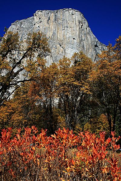 File:El Capitan at fall.jpg