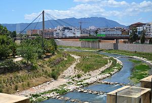 El riu Serpis des del museu arqueològic de Gandia.JPG