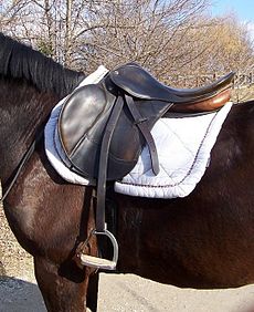 English saddle.jpg