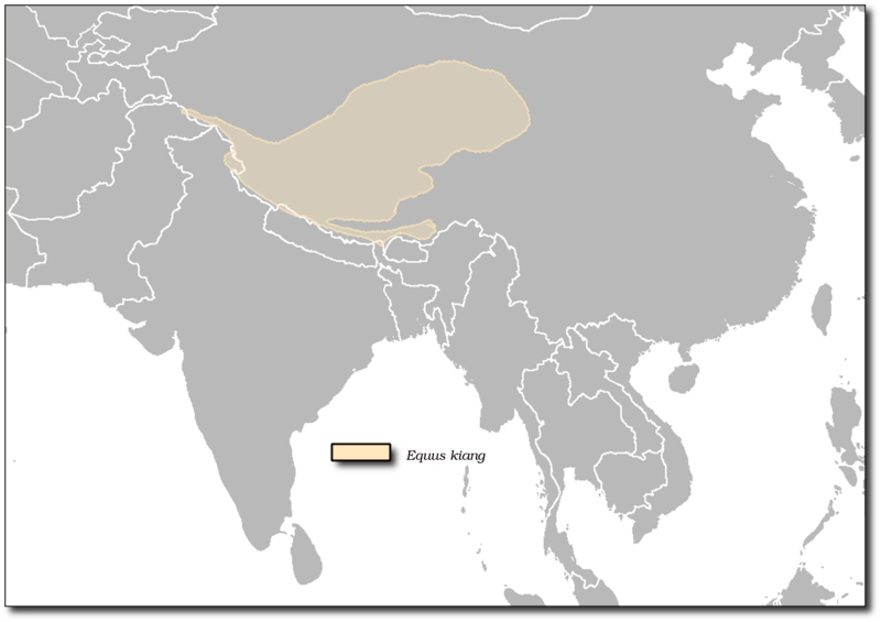 File:Equus kiang map.png