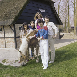 להקת בלו דנובה, 1980