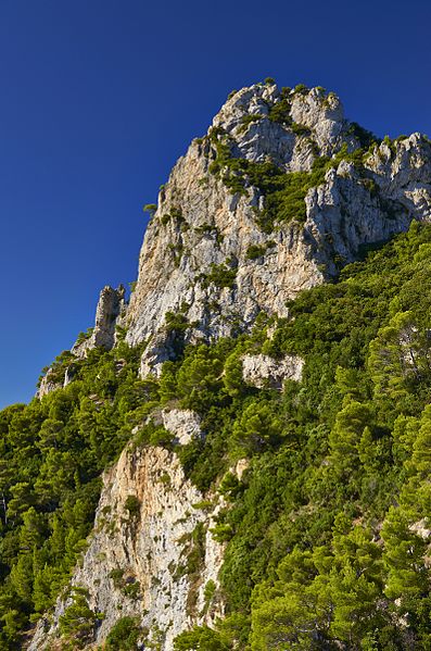 File:Falesia - panoramio (1).jpg