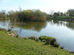 Classic fishing pond used by the Clay Cross Angling Club
