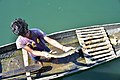 Fishing at Tanguar Haor, Sunamganj, Bangladesh