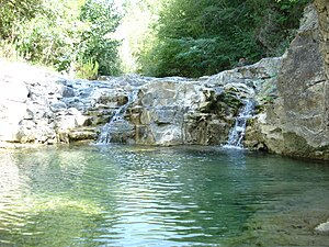 Acqua: Etimologia, Fisica e chimica dellacqua, Limportanza biologica dellacqua