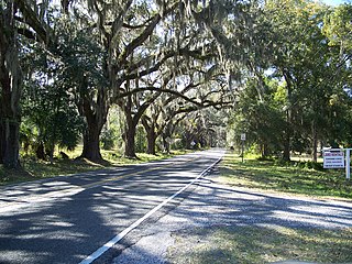 Floral City, Florida Census-designated place in Florida, US