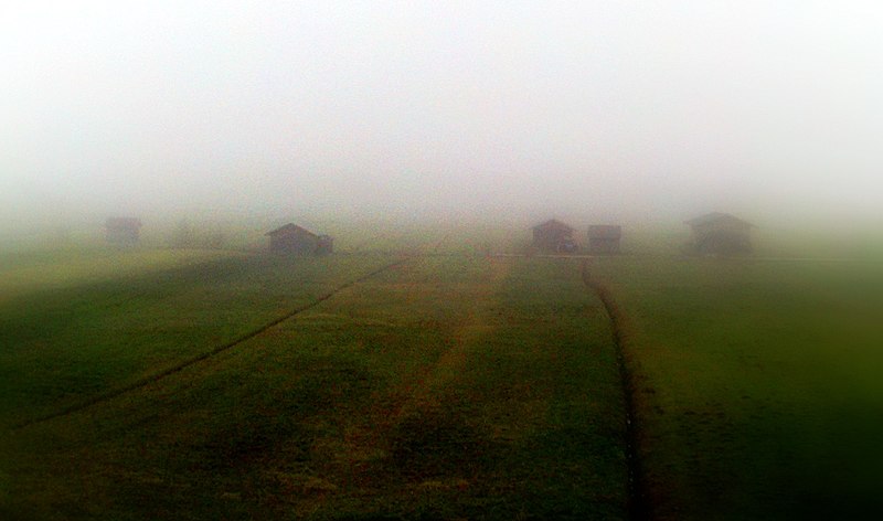 File:Fog - Flickr - Stiller Beobachter.jpg