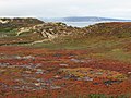 Park stanowy Fort Ord Dunes.jpg