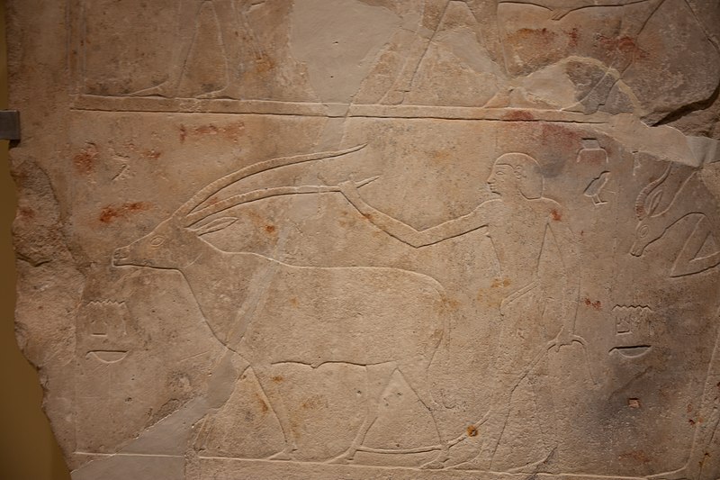 File:Fragmento de pared de una mastaba con escena de ganadería. Primer periodo intermedio de Egipto 02.jpg